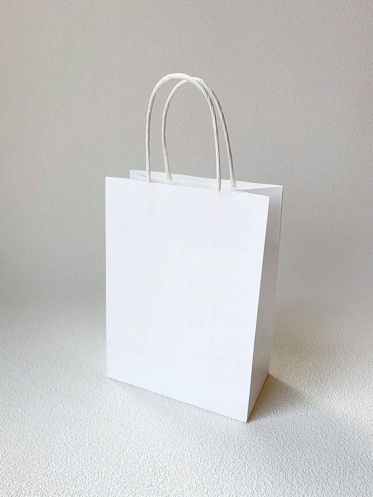Paper Bag Plain White Buy Brown Paper Bags|White Paper Bags|Craft